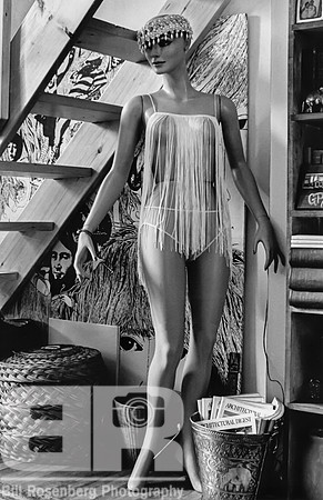 Loft Dweller