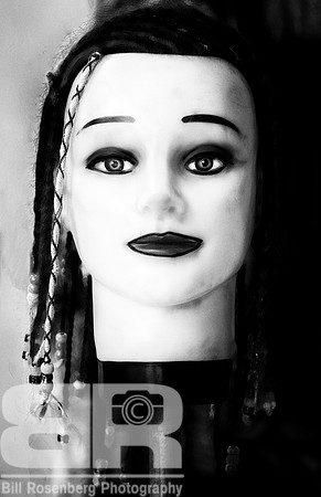 Head On A Stick