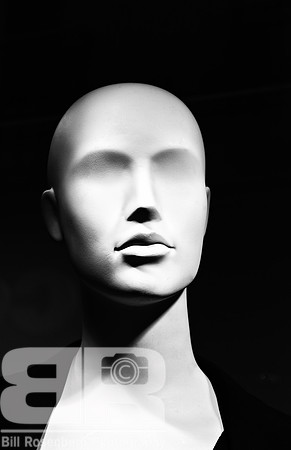 Future Gaze
