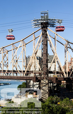 Traffic Tram