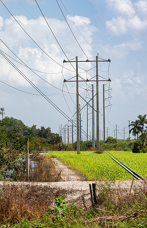 Power Line 1
