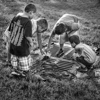 Curiosity bw