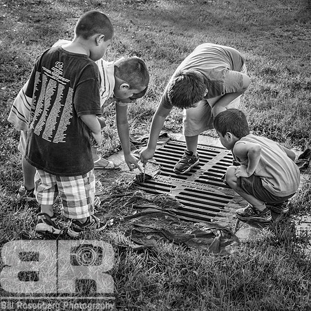Curiosity bw
