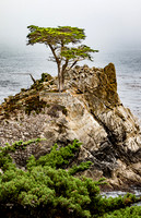 Lone Pine
