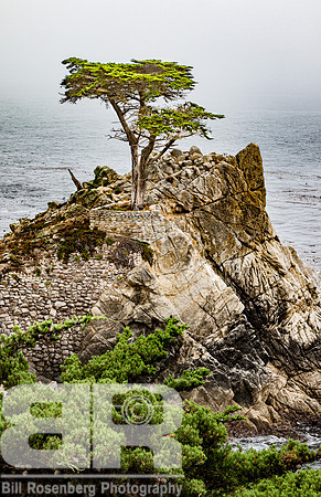 Lone Pine
