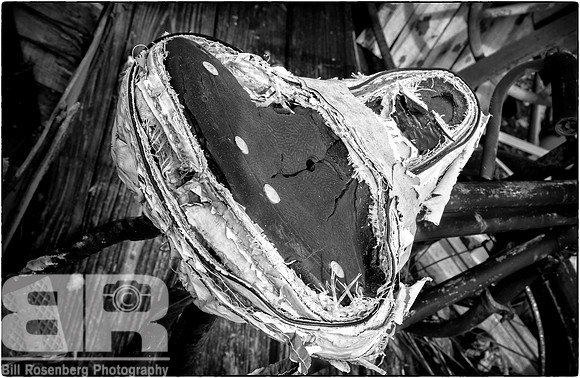 Well Worn_I