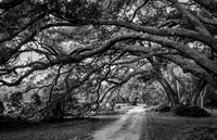 Nature's Arch II