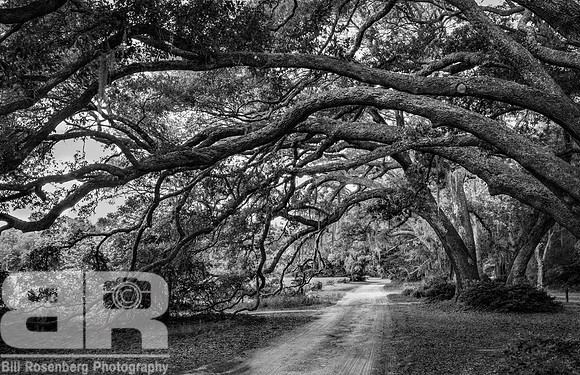 Nature's Arch II