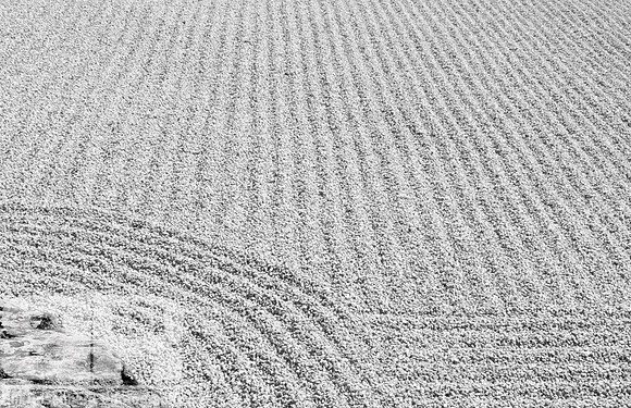 Zen Garden 1