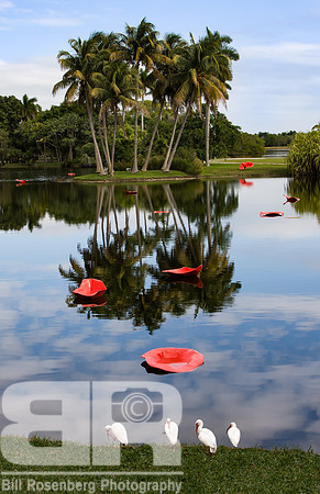 Ibis Composition
