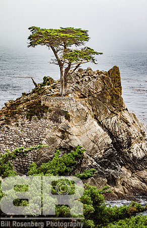 Lone Pine