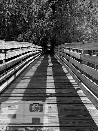 Into The Rabbit Hole B/W