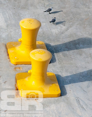 Dock Buddies