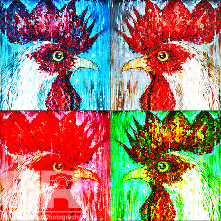 Four Chickens