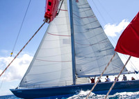 20140317_bwp_st_maarten_0011