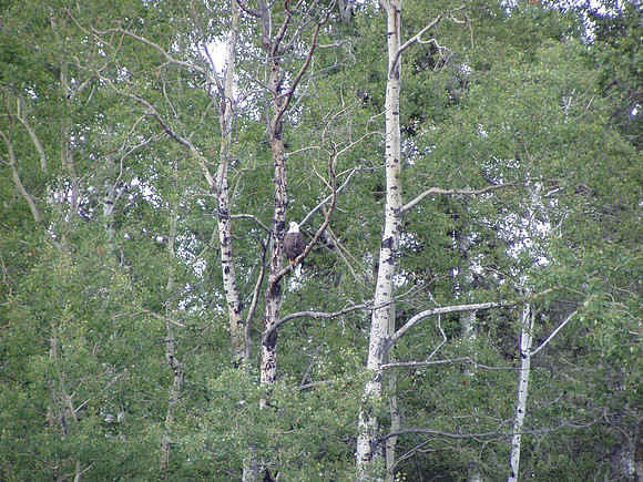 P8260040