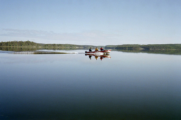 IMG019