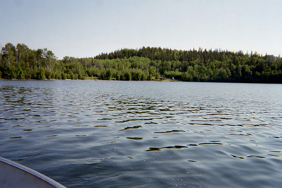 IMG015