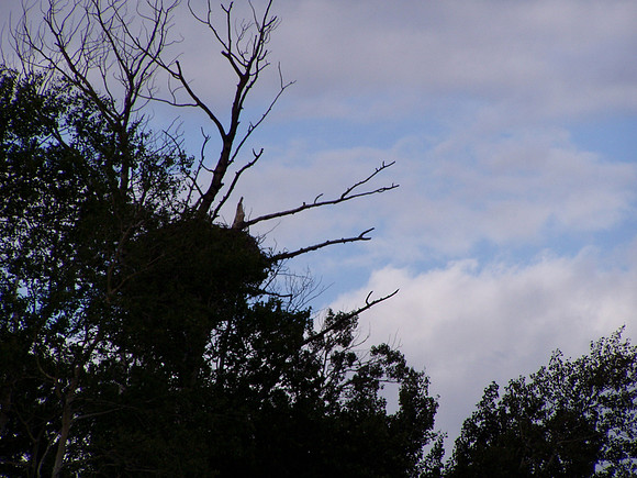 P8260039