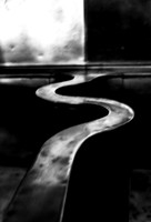 Into The Light
