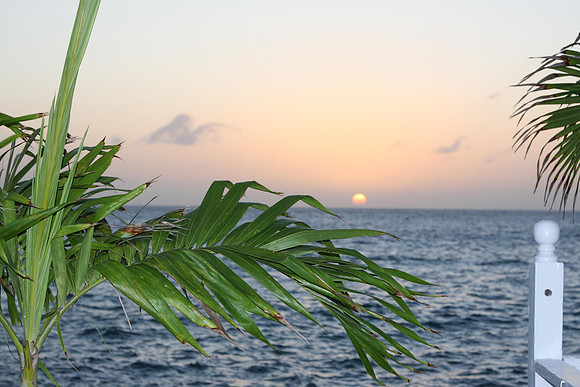 20120303_bwp_grand_cayman_island_0015