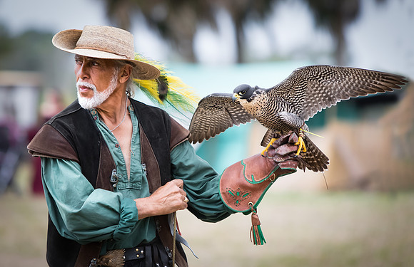 A Man And His Falcon