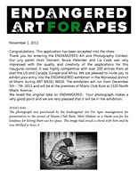 2013_Endangered Art For The Apes