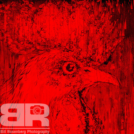 Red Head
