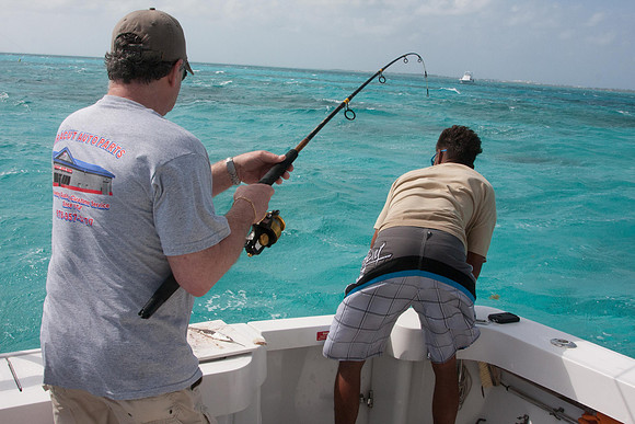20120306_bwp_grand_cayman_island_0142
