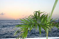 20120303_bwp_grand_cayman_island_0016