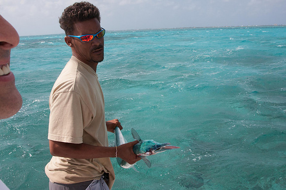 20120306_bwp_grand_cayman_island_0146