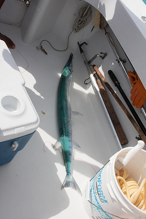 20120306_bwp_grand_cayman_island_0145