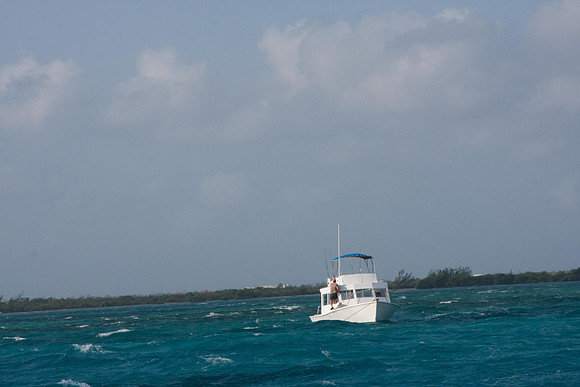 20120306_bwp_grand_cayman_island_0134