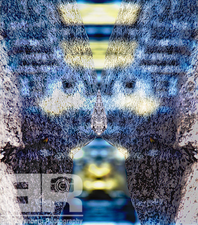 Blue_Are_You